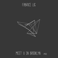 Fabrice Lig - Meet U in Brooklyn