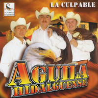 Aguila Hidalguense - La Culpable