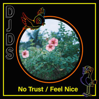 DJDS - No Trust / Feel Nice (Explicit)