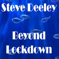 Steve Deeley / - Beyond Lockdown