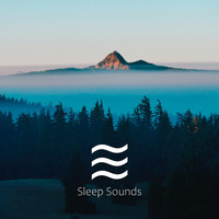 Baby White Noise Shusher - Looped Sleep Baby Children Noises for Sleep