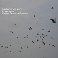 Anders Jormin - Symphony of Birds