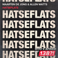 Maarten de Jong & Allen Watts - Hatseflats