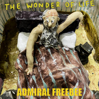 Admiral Freebee - The Wonder of Life