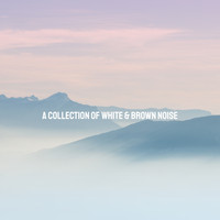 White Noise Research, Sounds of Nature Relaxation and Nature Sounds Artists - A Collection of White & Brown Noise