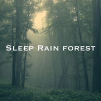 White Noise Research, Sounds of Nature Relaxation and Nature Sounds Artists - Sleep Rain forest