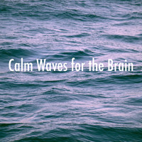 Ocean Waves For Sleep, White! Noise and Nature Sounds for Sleep and Relaxation - Calm Waves for the Brain