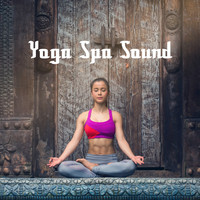 Relaxing Mindfulness Meditation Relaxation Maestro, Deep Sleep Meditation and Yoga Tribe - Yoga Spa Sound