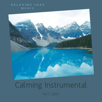 Calming Instrumental - Relaxing Jazz Music, Vol 7