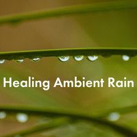 Rain Sounds, Rain for Deep Sleep and Rainfall - Healing Ambient Rain