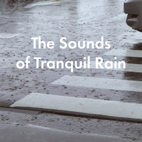 White Noise Research, Sounds of Nature Relaxation and Nature Sounds Artists - The Sounds of Tranquil Rain