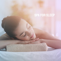 Yoga Workout Music, Spa and Zen - Spa for Sleep