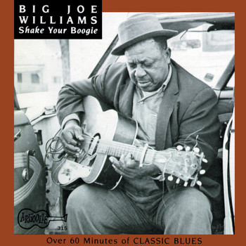 Big Joe Williams - Shake Your Boogie