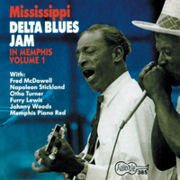 Various Artists - Mississippi Delta Blues Jam in Memphis, Vol. 1