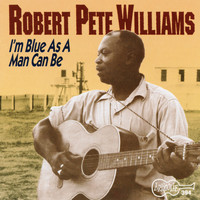 Robert Pete Williams - I'm Blue as a Man Can Be