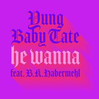 Baby Tate - He Wanna (feat. B.K. Habermehl) (Explicit)