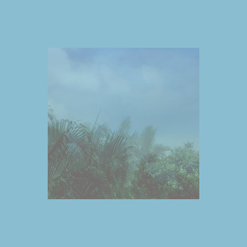 Madeleine Cocolas - A Basic Understanding