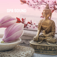 Relaxation And Meditation, Relaxing Spa Music and Peaceful Music - Spa Sound