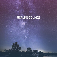White Noise Research, Sounds of Nature Relaxation and Nature Sounds Artists - Healing Sounds