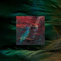 Lauren Doss - LAND