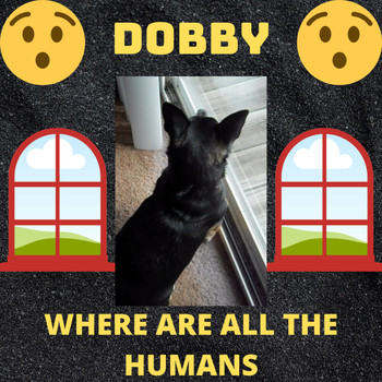 Andy Garrett - Dobby - Where Are All the Humans