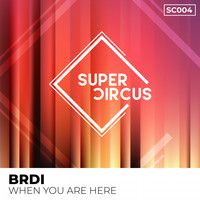 BRDI - When You Are Here