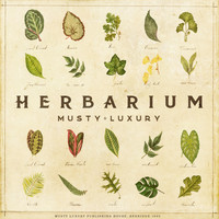 musty luxury - Herbarium