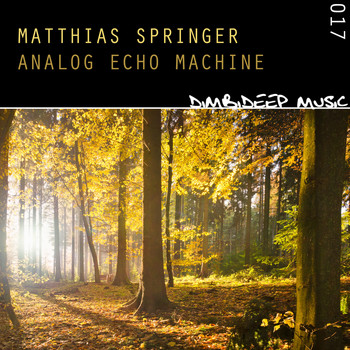 Matthias Springer - Analog Echo Machine