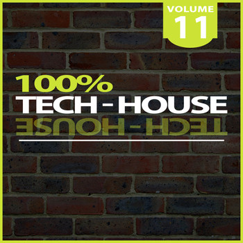 Various Artists - 100% Tech-House, Vol. 11