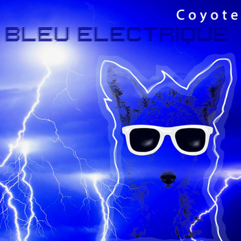 Coyote - Bleu électrique