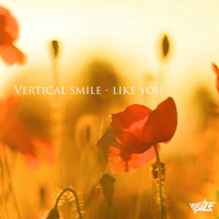 Vertical Smile - Like You