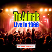 The Animals - Live in 1966 (Live)