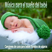 Canciones de cuna para bebés, Musica Para Dormir Bebes, MÚSICA PARA NIÑOS - Música para el sueño del bebé: Canciones de cuna para bebes Sonidos de pájaros y música relajante para el sueño del bebé, relajación, música de fondo, música para dormir para bebés, bebé con cólicos con sonidos relajantes de la naturaleza.