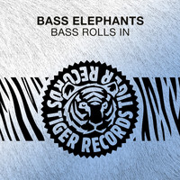 Bass Elephants - Bass Rolls In