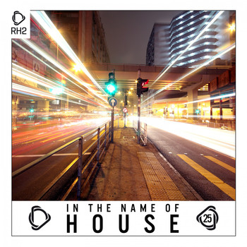 Various Artists - In the Name of House, Vol. 25 (Explicit)