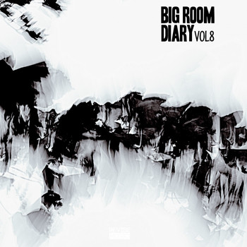 Various Artists - Big Room Diary, Vol. 8 (Explicit)