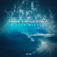 Soul Frequency - Hidden Miracle