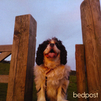 Bedpost - dead dog