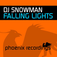 DJ Snowman - Falling Lights