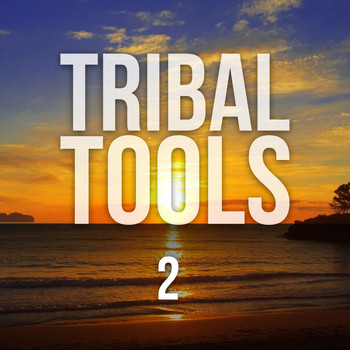 Various Artists - Tribal Tools, Vol. 2