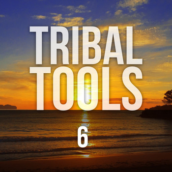 Various Artists - Tribal Tools, Vol. 6