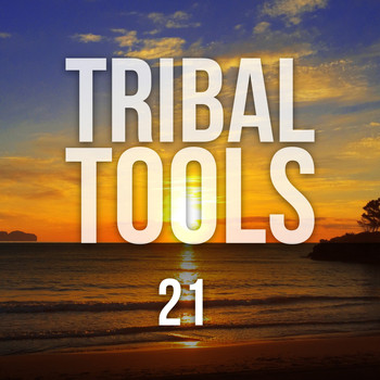 Various Artists - Tribal Tools, Vol. 21
