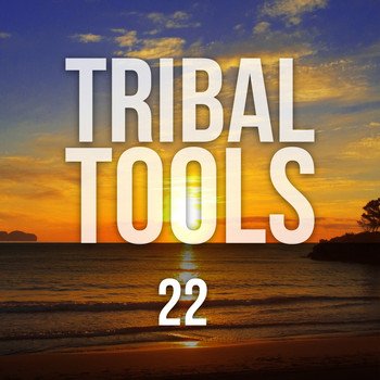 Various Artists - Tribal Tools, Vol. 22