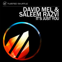 David Mel & Saleem Razvi - It's Just You