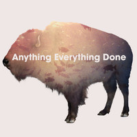 The Phoenix Foundation - Anything Everything Done