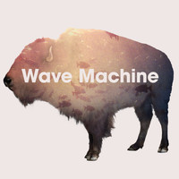 The Phoenix Foundation - Wave Machine