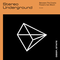 Stereo Underground - Stereo Underground