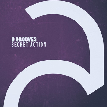 D Grooves - Secret Action