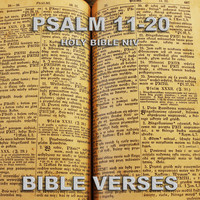 Bible Verses - Holy Bible Niv Psalm 11-20