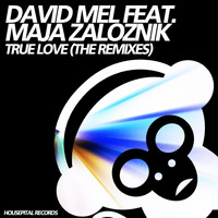 David Mel - True Love (The Remixes)